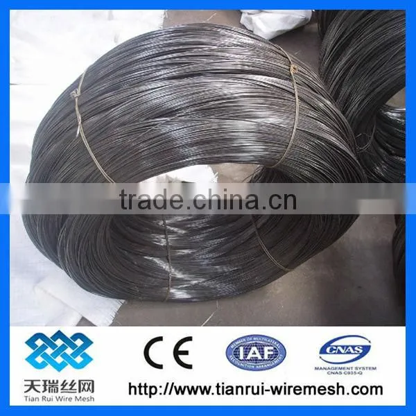 Black Annealed Wire/ Galvanized Iron Wire