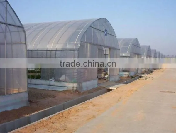 Tunnel Greenhouse photo-6