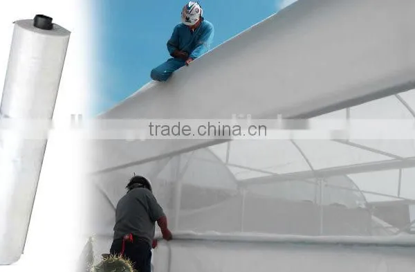Commercial Greenhouses China photo-5