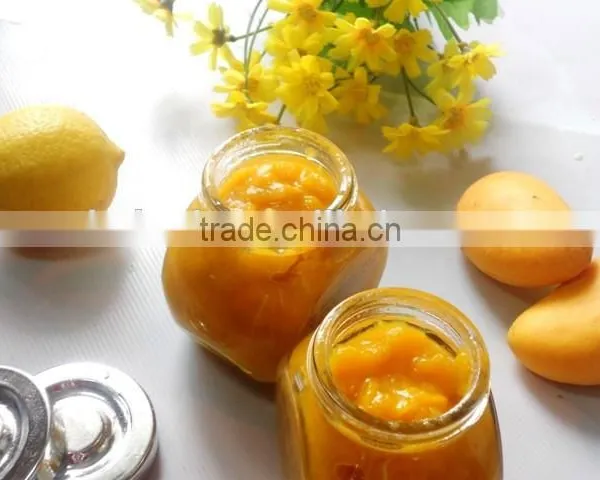 Microwave Vacuum Dryer for Mango Sauce photo-4