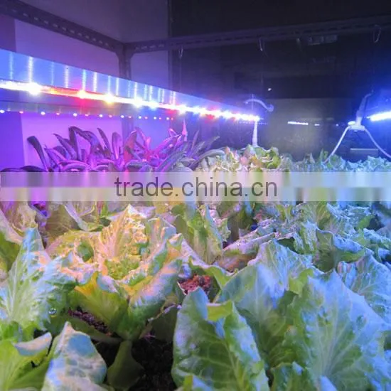 2016 MarsHydro Led Light Bar Reflector LED Ligh Bar Full Spectrum LED Plant Grow Light Bar 23W 46W 92W photo-6