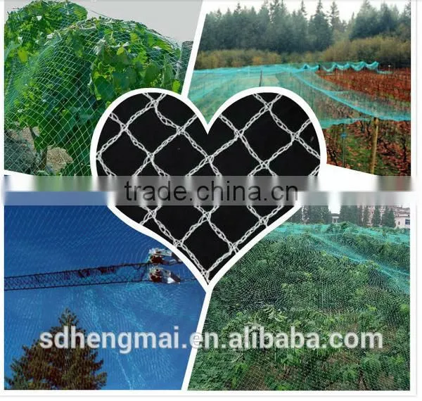 100% BEIGE Virgin Antihail Net/HDPE Bird Net photo-5