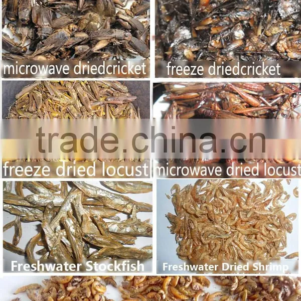 Wild Birds Food Freeze Dried Crickets;Dried Crickets for Wild Birds photo-6