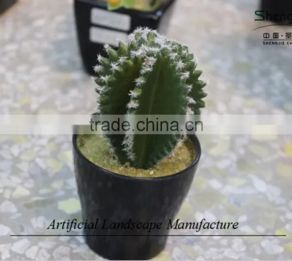 Mini Succulent Plants Potted Plants for Decoration photo-5