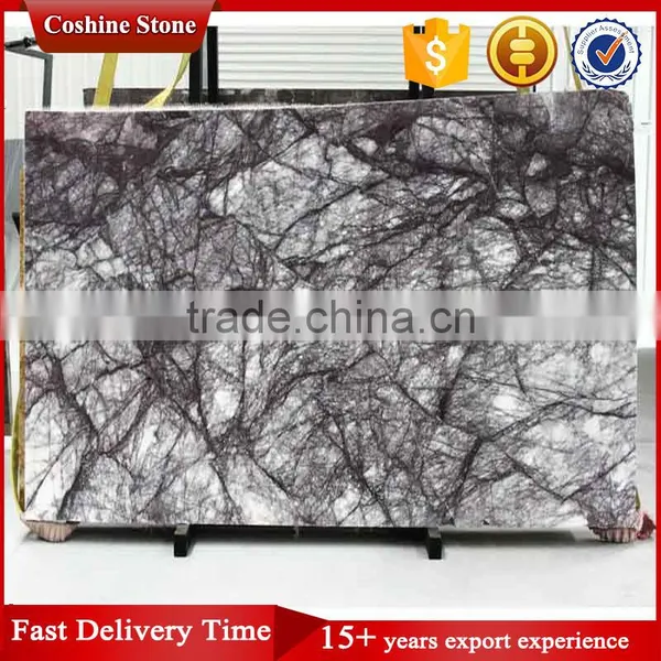 Decoration Heaven Bird White Marble With With Black Veins photo-1
