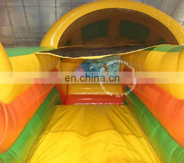 Hot Sale Commercial Giant Inflatable Water Slide for Adult on Sale photo-3