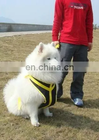 Professional Custom Durable Hands Free Running Dog Leash photo-2