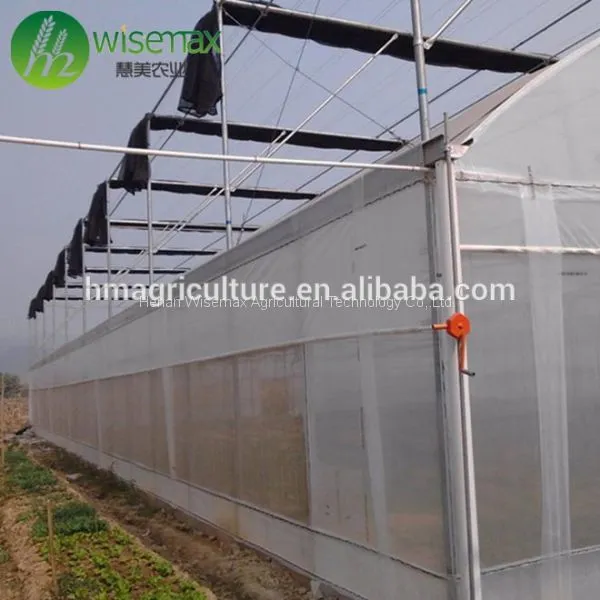China Factory Plastic Film Covering Multi Span Tunnel Greenhouse photo-4