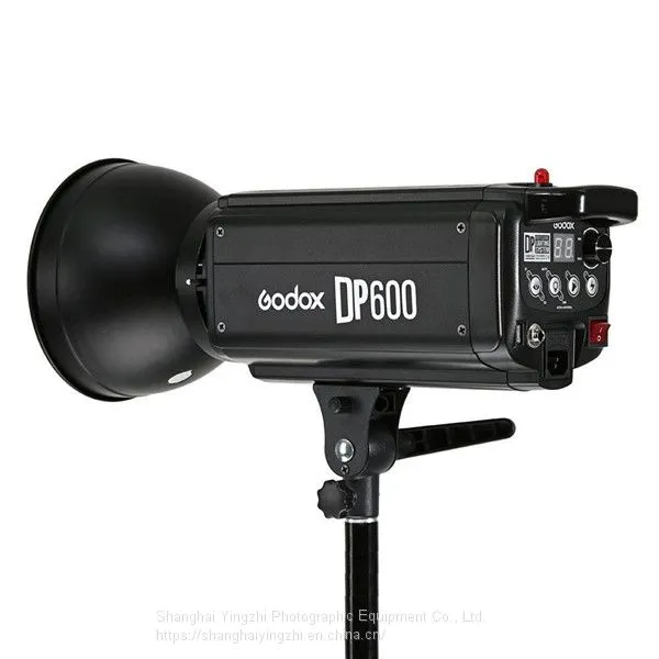 Godox DP600 Photography Studio Strobe Flash Light Power 110V/220V Light Lamp Head For Camera Studio photo-3