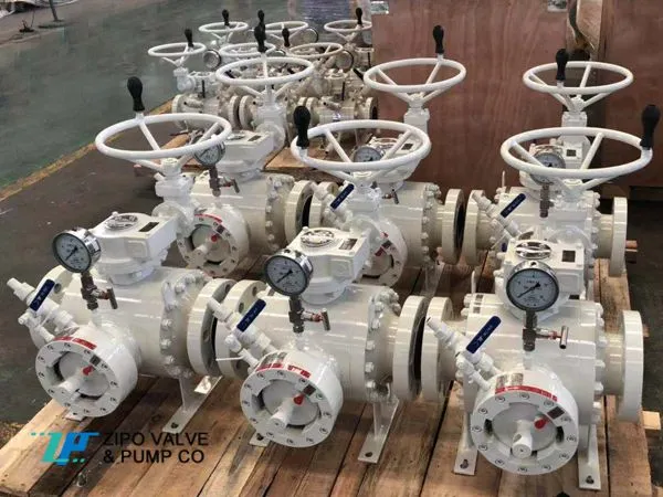 API6D Pipeline Pig Receiver and Launcher Pig Valve photo-3