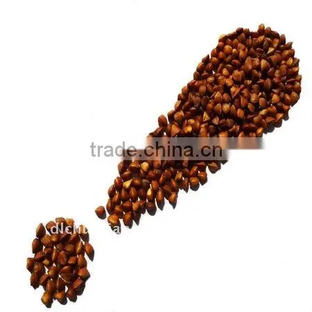 Roasted Buckwheat Kernels