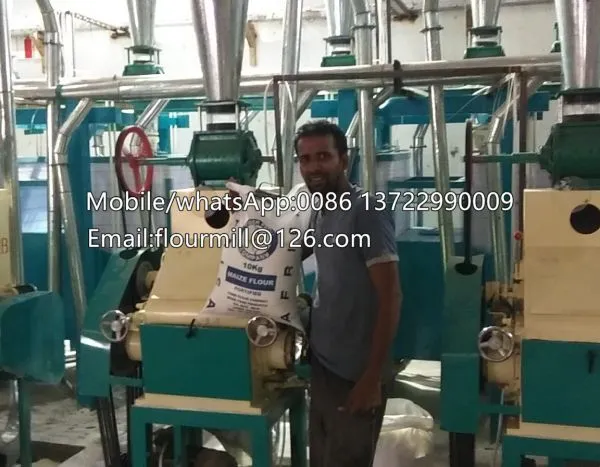 Industrial Maize Corn Flour Mill Plant Corn Grits Making Machine Semolina Processing Machine photo-5