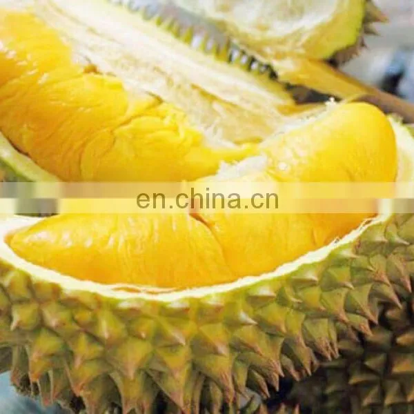Premium Durian From The Nature Of Vietnam photo-2