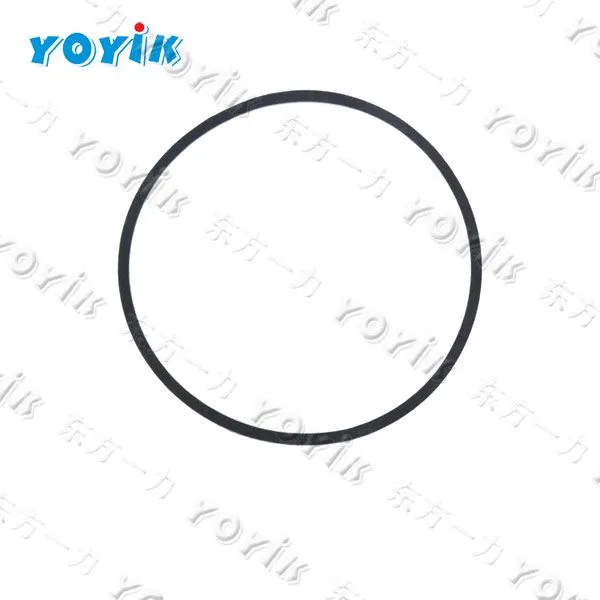 China Manufacturer Guide Ring DTYD100TY006 for Power Generation