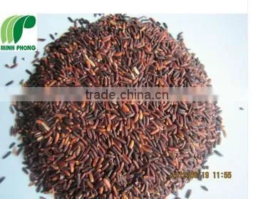 GLUTINOUS RICE