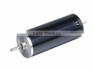 Brushed Micro Electric dc Motor