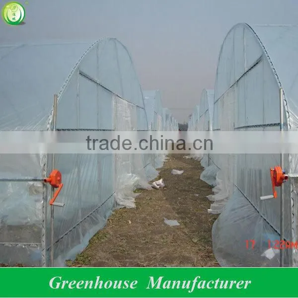 Galvanized Steel Pipe Economical Tunnel Greenhouse photo-2