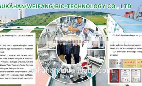 Compound Bacteria for Pond Water Treatment photo-4