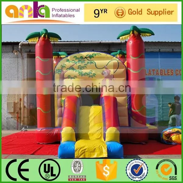 Slide Pool Bouncer With Great Price photo-6