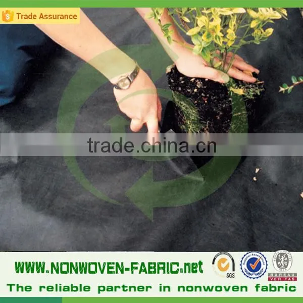 UV Treated Fabric Weed Control Rolls photo-6