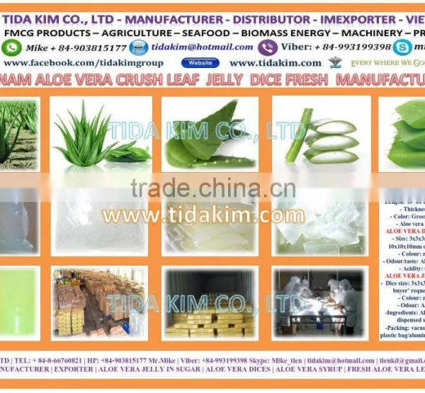 CAULERPA LENTILLIFERA FRESH SEAGRAPES - SEAWEED VIETNAM GREEN CAVIAR OKINAWA DEHYDRATED JAPAN TIDA KIM OEM PRODUCTION SEAFOOD photo-3