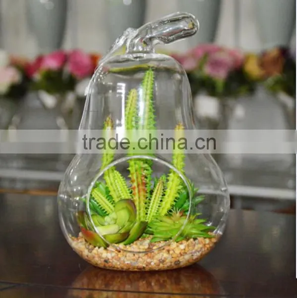 2016 New Style Home Decor Ashtrays Indoor Glass Plant Terrarium photo-6