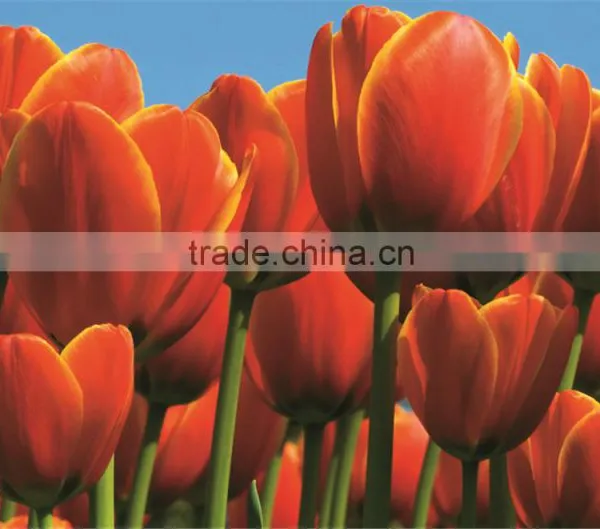 Beautiful Flower Design Colorful UV-print Clear Table Mat