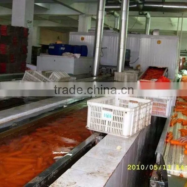 2016 New Crop Fresh Bulk Carrot for Sale photo-4