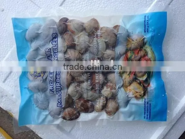 Hot Sale Frozen Shell Whole Baby Clam photo-2