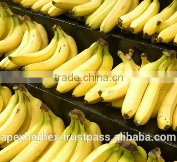 Banana Pulp Powder / Spray Dried Banana Powder / Powder of Banana photo-3