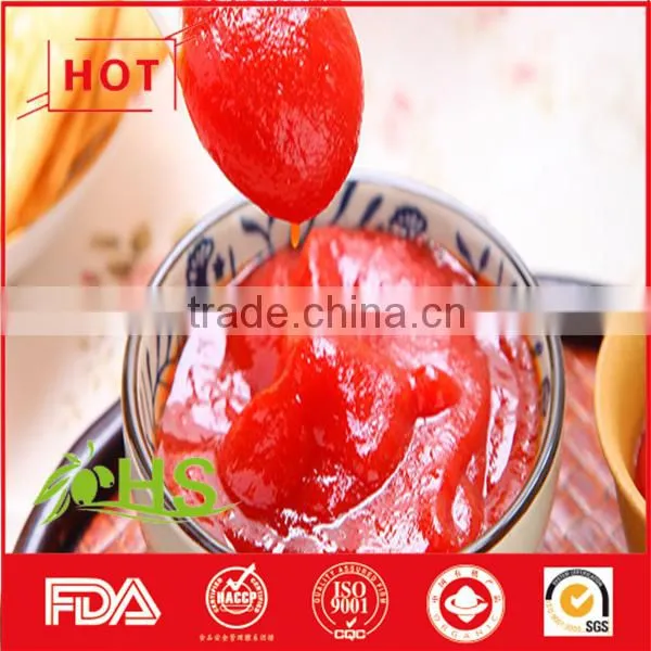 400g Tomato Paste of Good Quality photo-4
