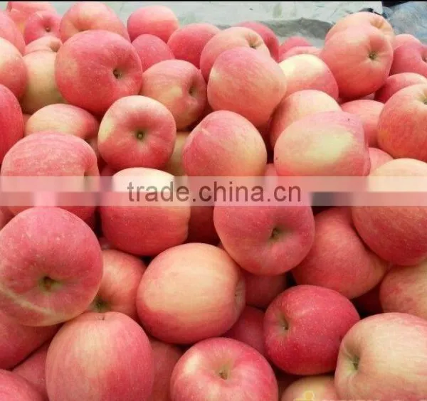 Chinese Good Quanlity Delicious Fresh Appl photo-3