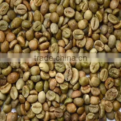 VIETNAM GREEN ROBUSTA COFFEE- EMAIL:EMILYTRAN@VISIMEX.COM photo-3