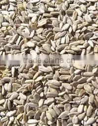 Sunflower Kernels Dried Sunflower Seeds for Bird Food photo-2