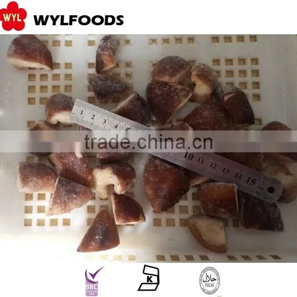 Supply Shiitake Mushroom Cuts Frozen IQF in China Market photo-3