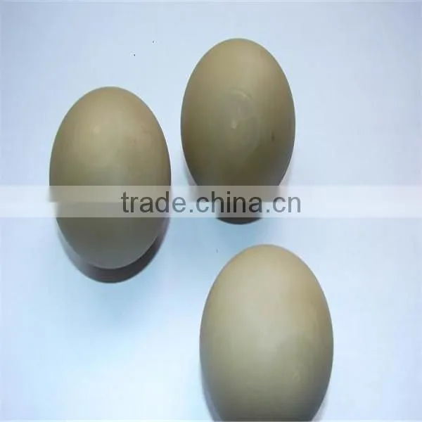 Engineering Plastic Products photo-3