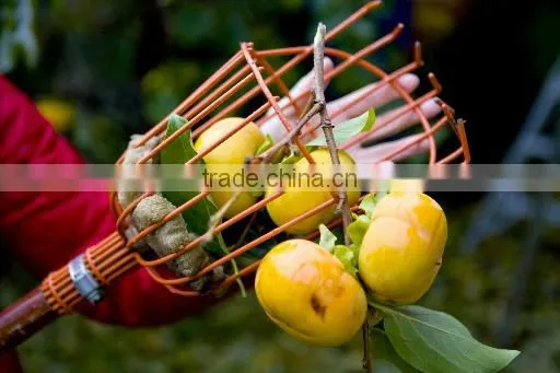 2016Hot Sell High Quality Adjustment Manual Fruit Picking Basket Fruit Picker photo-4
