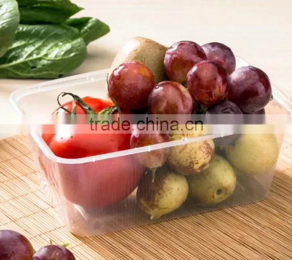 Disposable Fruit Plastic Packaging Container for Blueberry photo-5