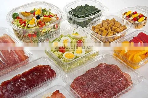 Disposable Blister Plastic Takeaway Takeout Hot Food Delivery Containers photo-2