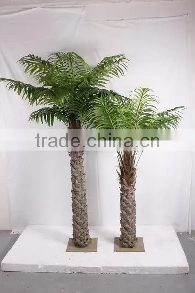 SJ2001205 Home Indoor Using Cocount Plam Tree Factory Outlet photo-3