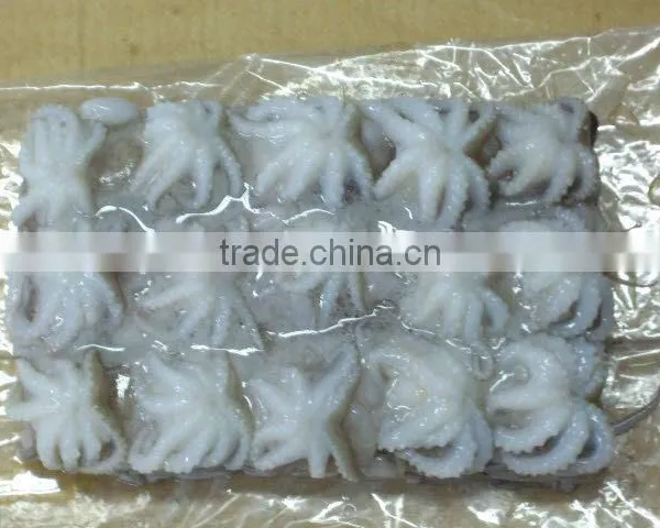 FRESH FROZEN BABY OCTOPUS FROM ALO SEAFOOD Co., photo-3