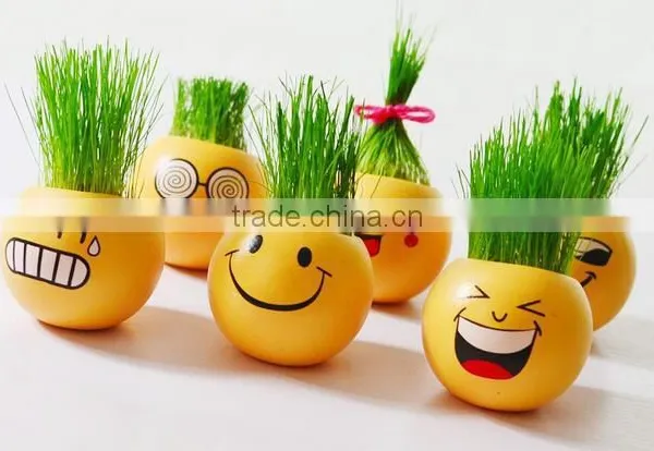 2017 New Style Emoji Grass Doll photo-2
