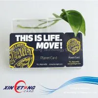 Snap Off Plastic Card (Professional Factory)