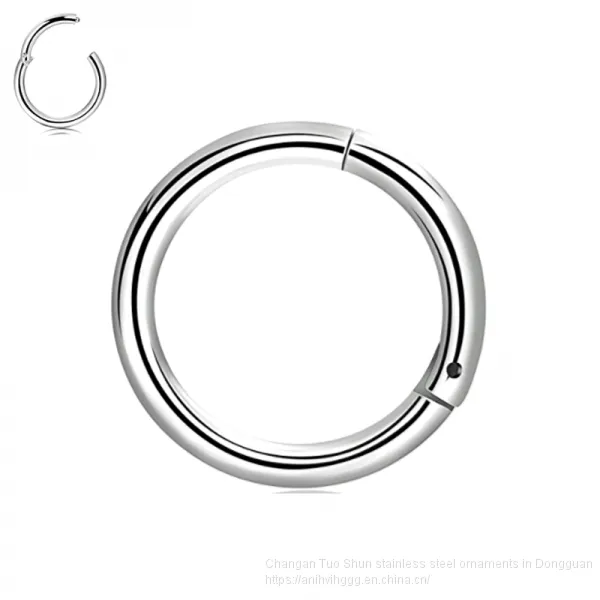 Ins Hot Stainless Steel, Stainless Steel Titanium Steel Earrings Earrings, Nose Studs, Human Body Piercing, Foreign Trade Manufacturers Wholesale photo-2