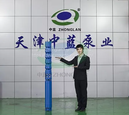 Hot Water Submersible Pump