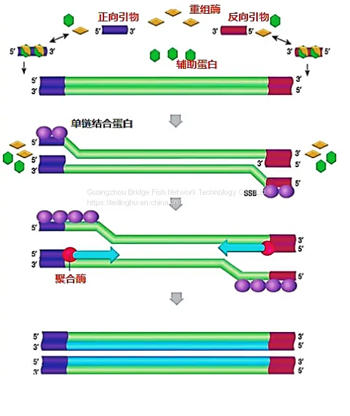 Novel Coronavirus (COVID-19) Nucleic Acid Detection Kit photo-5