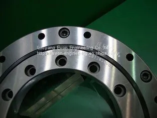 OEM ODM Bearing Factory Rotating Table Bearing Lazy Susan Rotary Slewing Ring Bearings photo-2