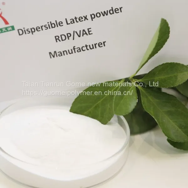 Dispersible Polymer Powder(RDP)