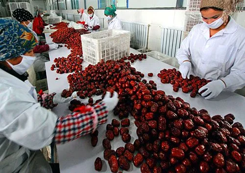 Arabic Date Honey Production Line / Jujube Syrup Processing Line / Date Syrup Making Equipment photo-4