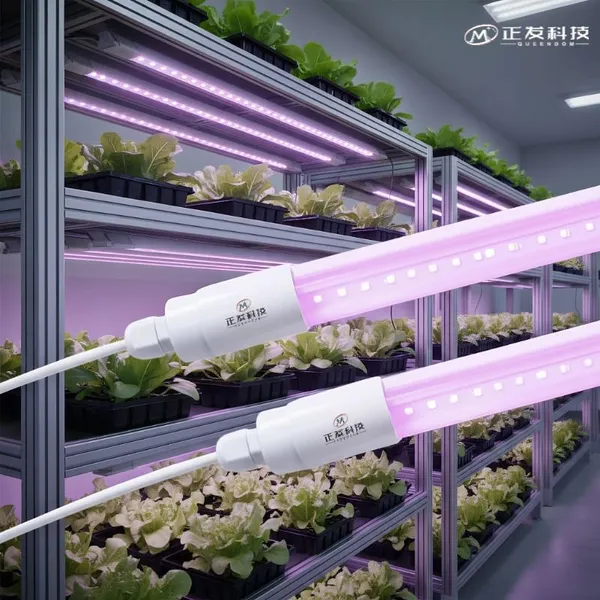 T8 LED Grow Tube Full Spectrum Plant Light for Greenhouse Hydroponics
